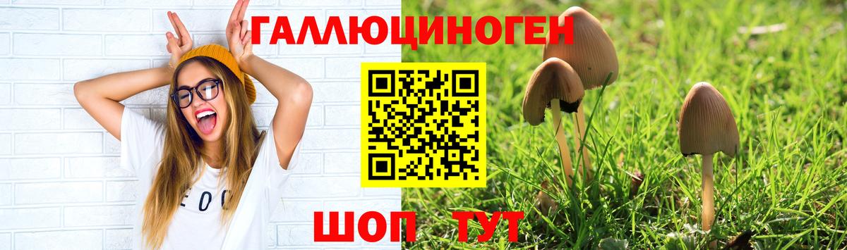 Майский  Псилоцибиновые грибы мухоморы  Вход с VPN 